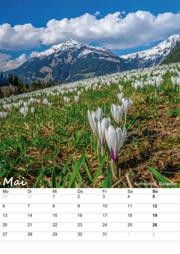 Bergkalender Montafon 2024 - Mai